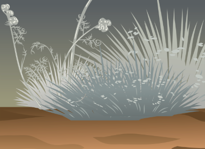 Grey grass