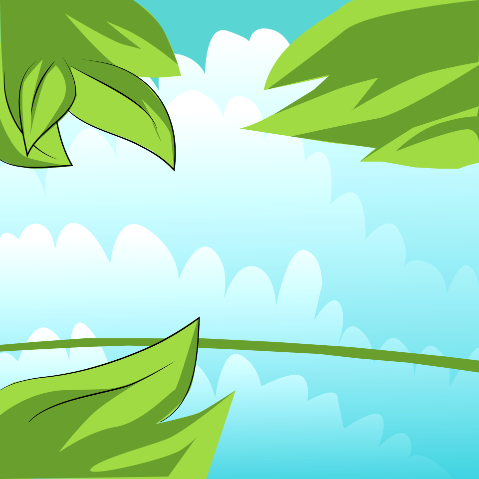 Leaves sky