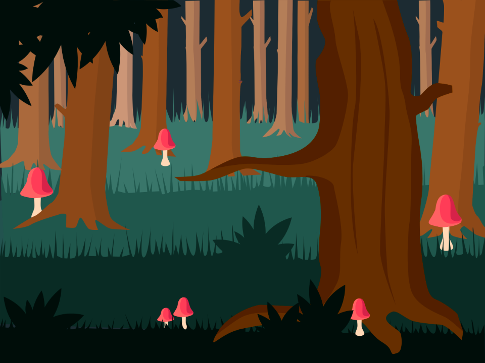 Mushrooms forest