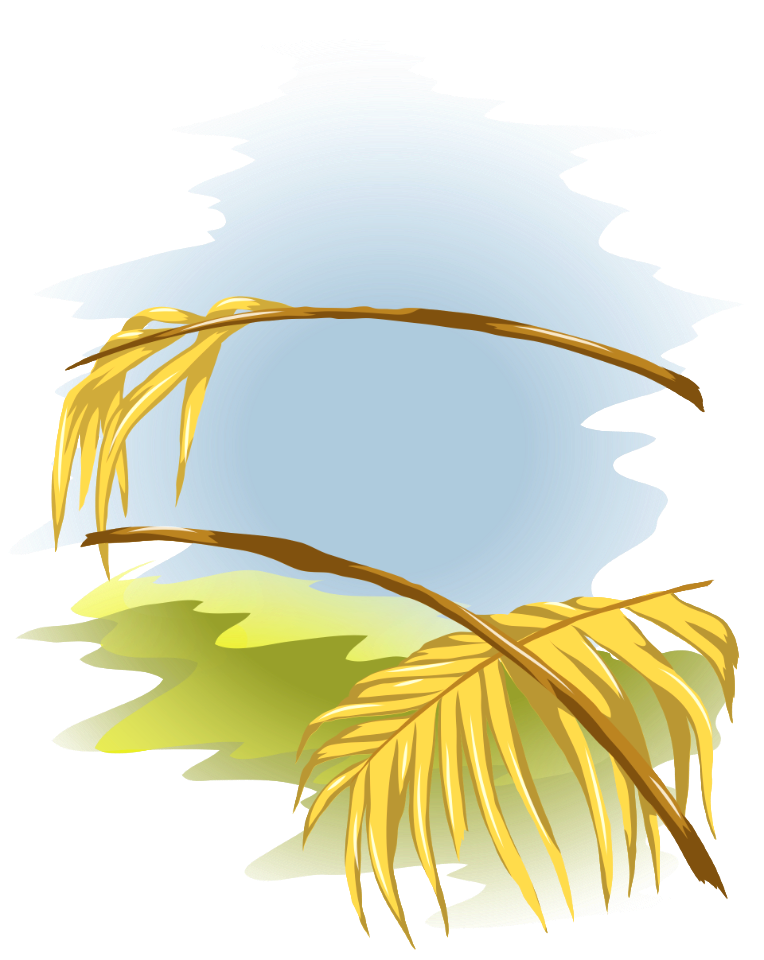 Palm leaves