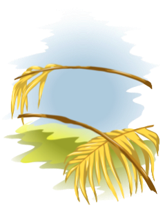 Palm leaves