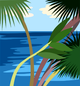 Palm trees
