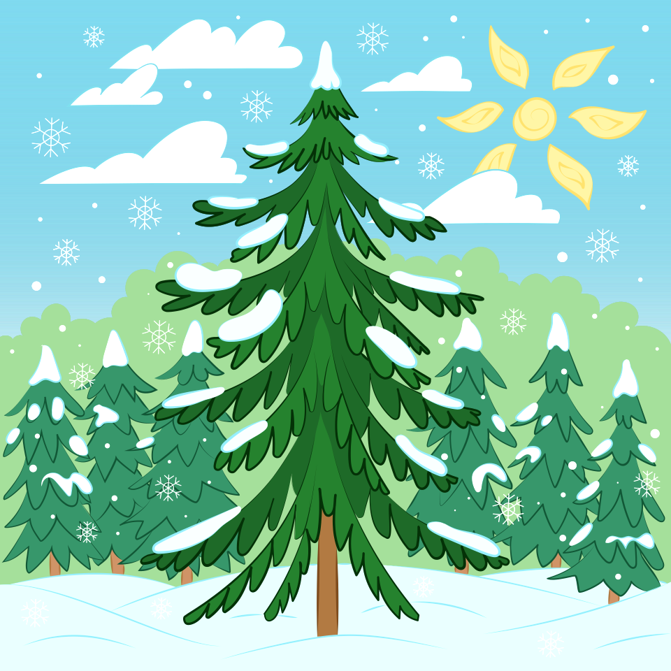 Pine tree