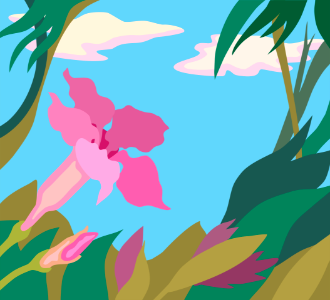 Pink flower