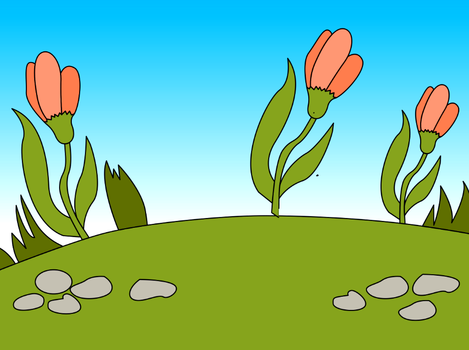 Pink tulips