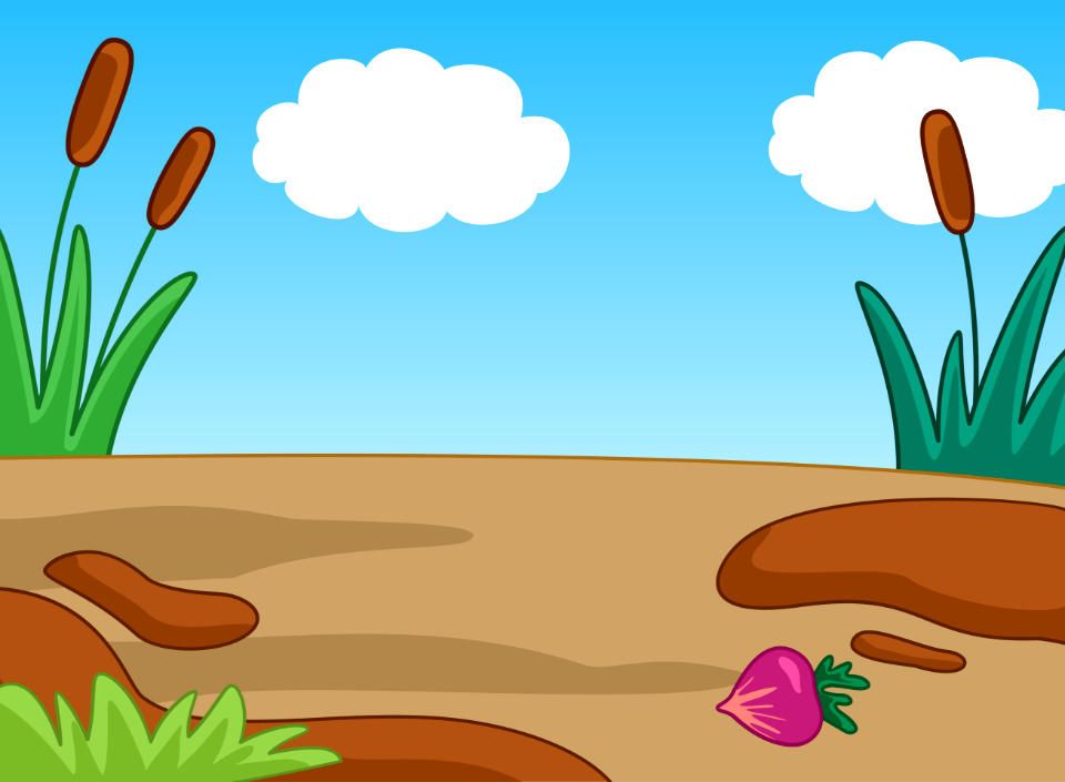 Reed and land