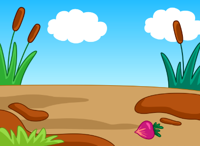Reed and land