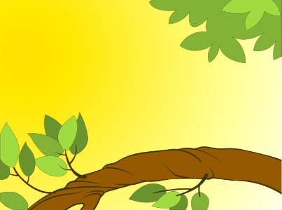 Tree branch