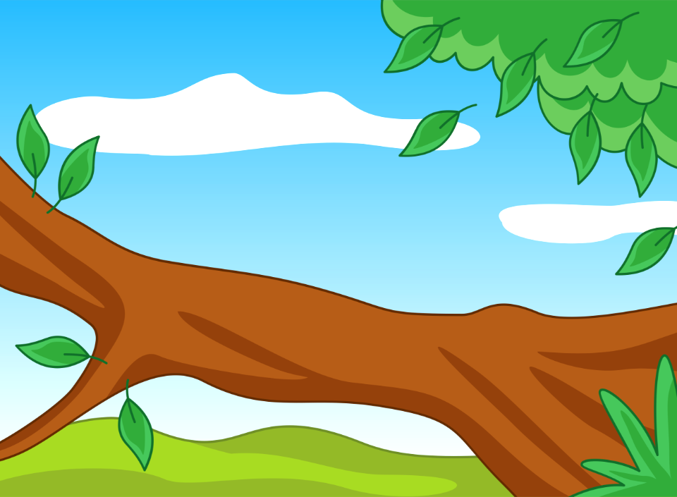 Tree branch