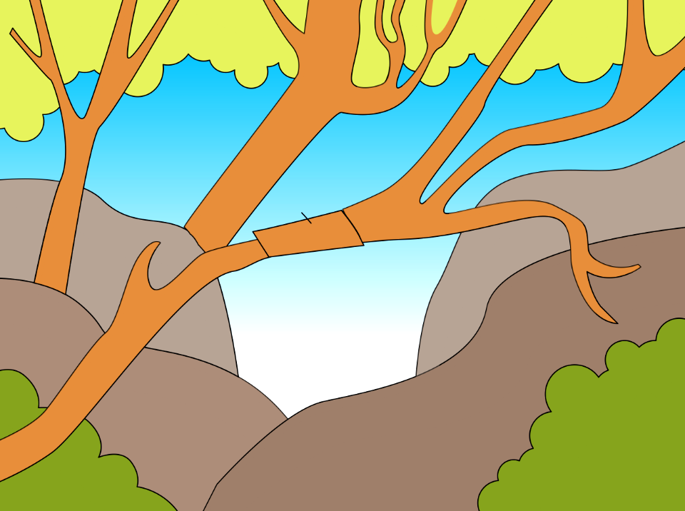 Tree branch