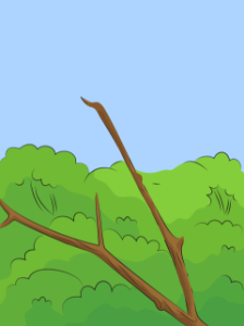 Tree branch