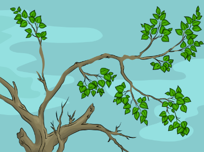 Tree branch