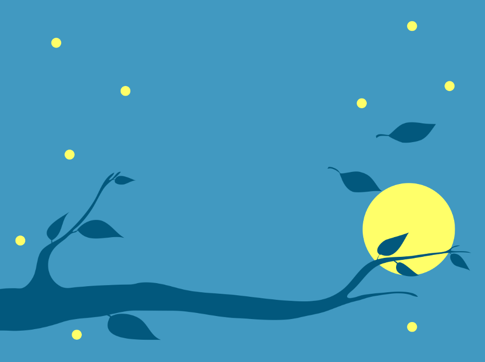 Tree branch night sky