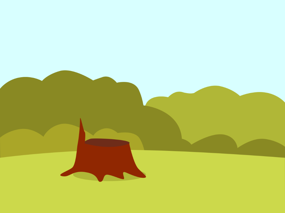 Tree trunk