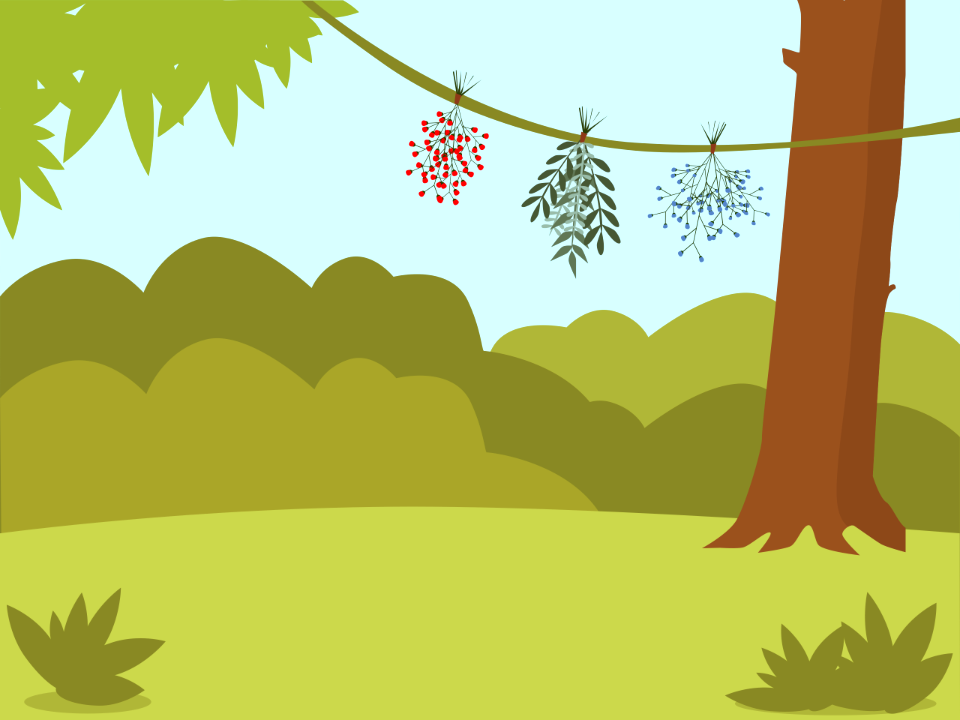 Tree trunk