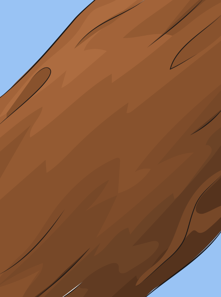 Tree trunk