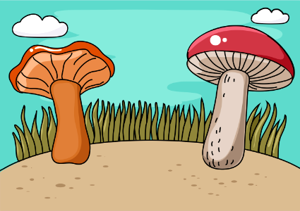 Two mushrooms