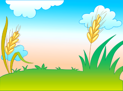 Wheat