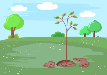 Young planted tree