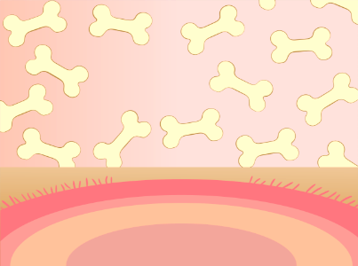 Bones
