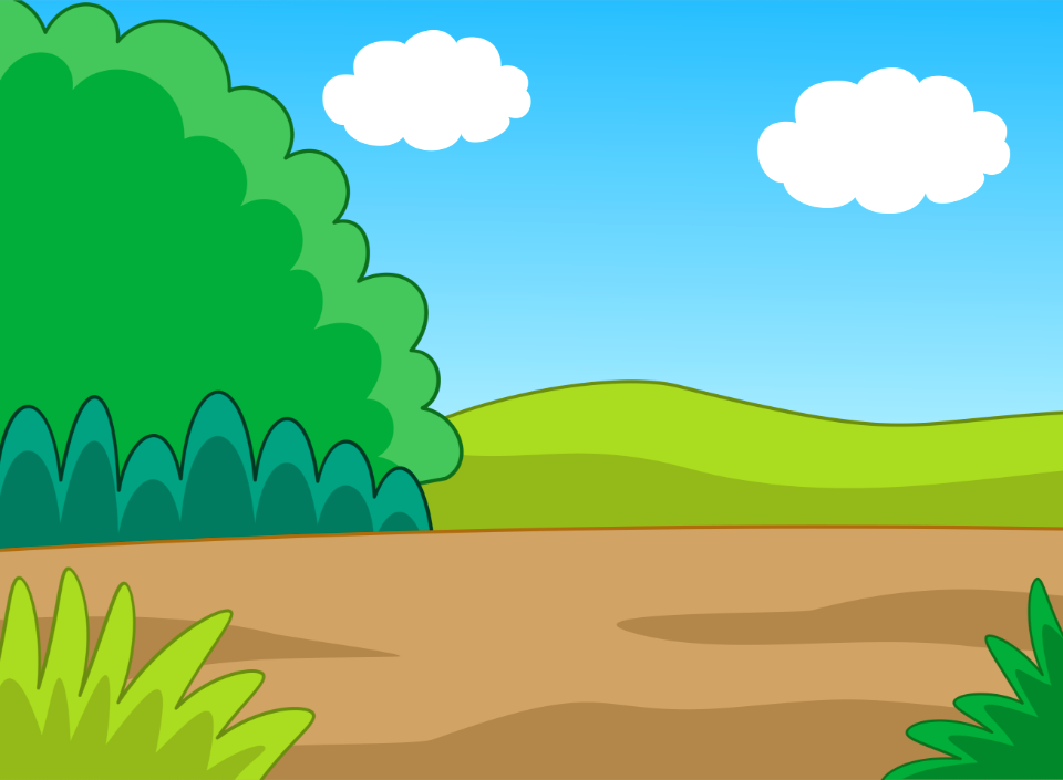 Forest landscape