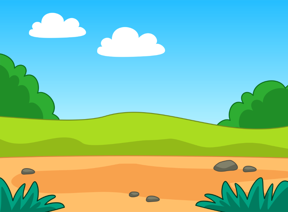 Forest landscape