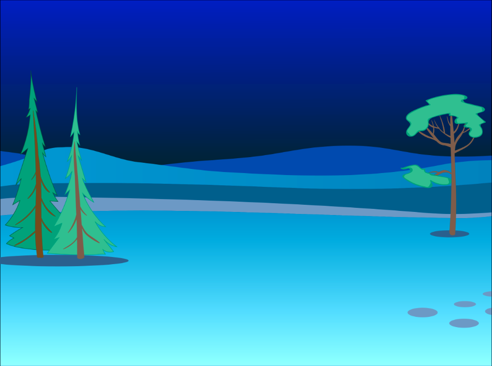 Forest night