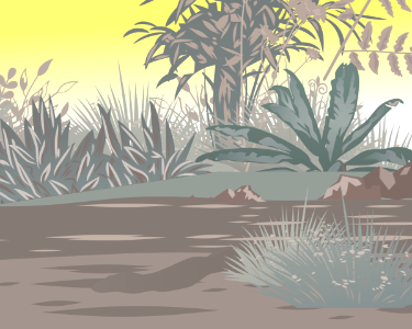 Green jungle