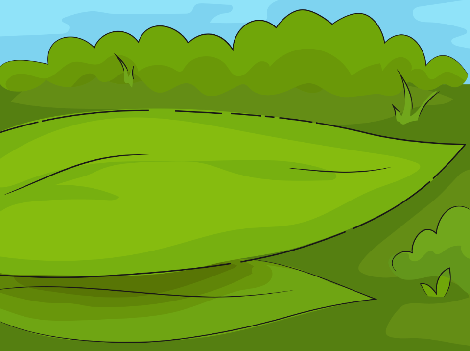 Green meadow