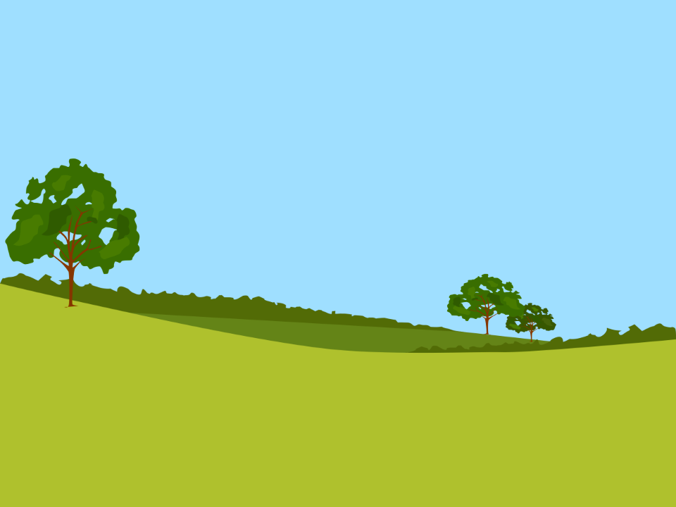 Green meadow