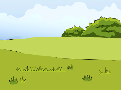 Green meadow