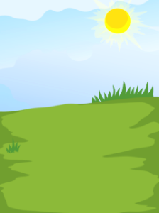 Green meadow