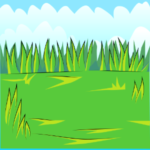 Green meadow
