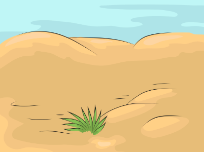 Sand