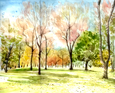 Watercolor forest painting
