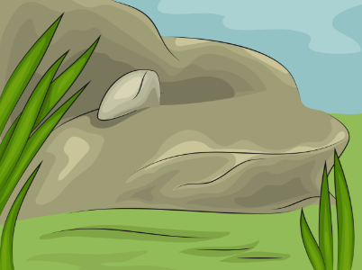 Grey rock