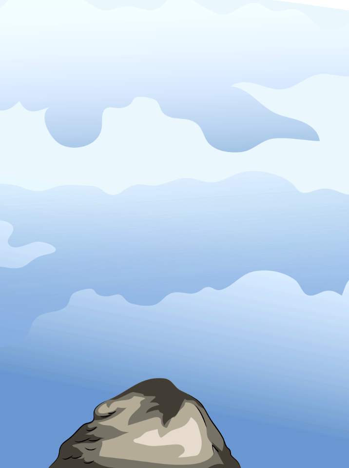 Rock top