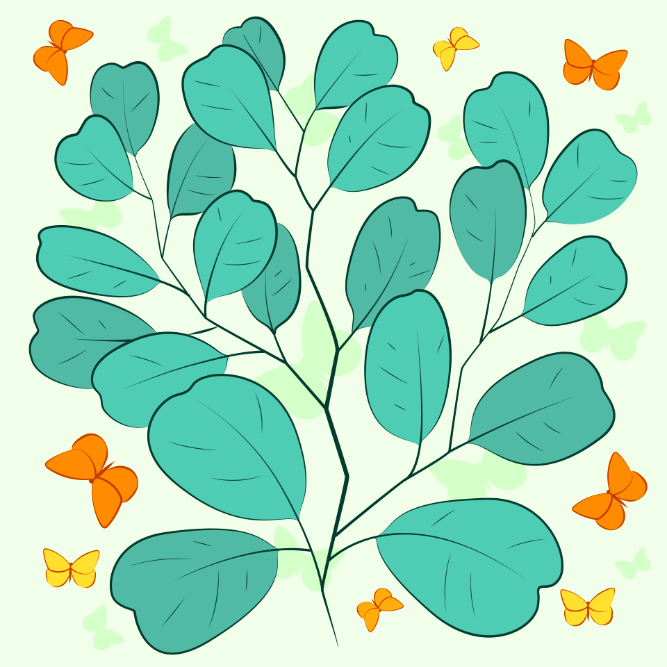 Eucalyptus