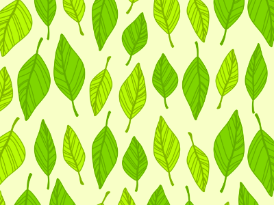 Leaves