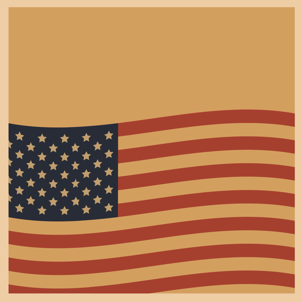 Usa flag