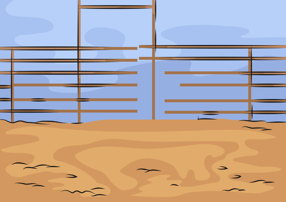 Rodeo