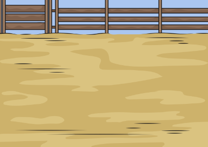 Rodeo