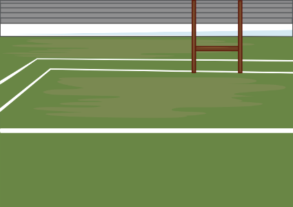 Rugby field