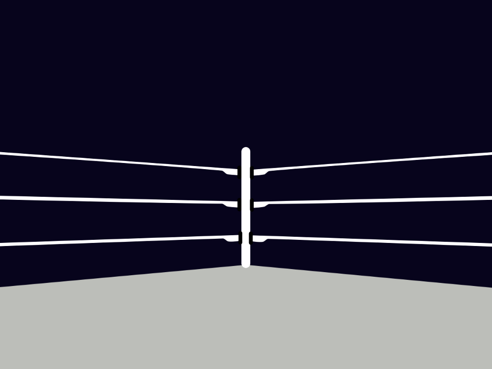 Wrestling ring