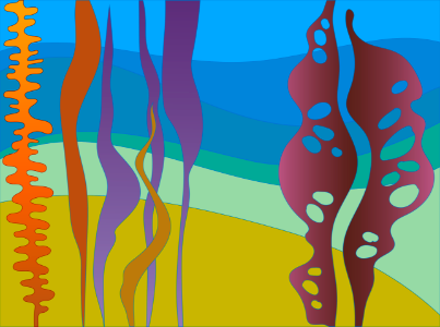Underwater life
