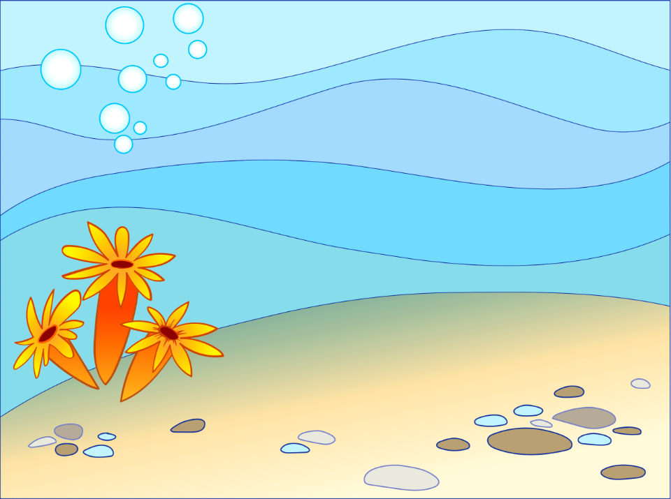 Underwater life