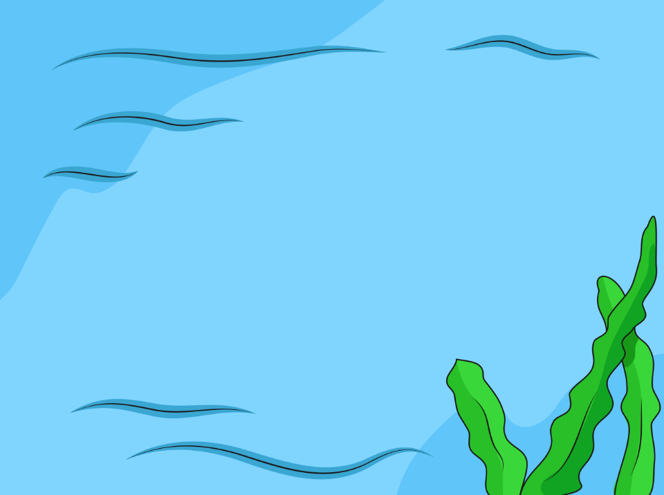 Underwater life