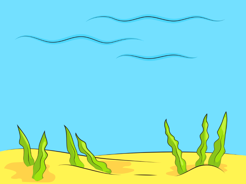 Underwater life