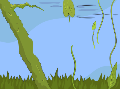 Underwater lily pads