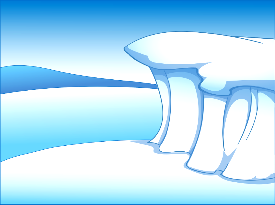 Antarctic pole